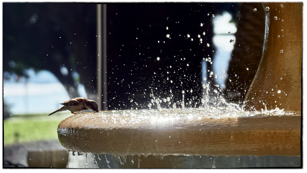 2021 05 16 Auf zu den quellen DSC00894